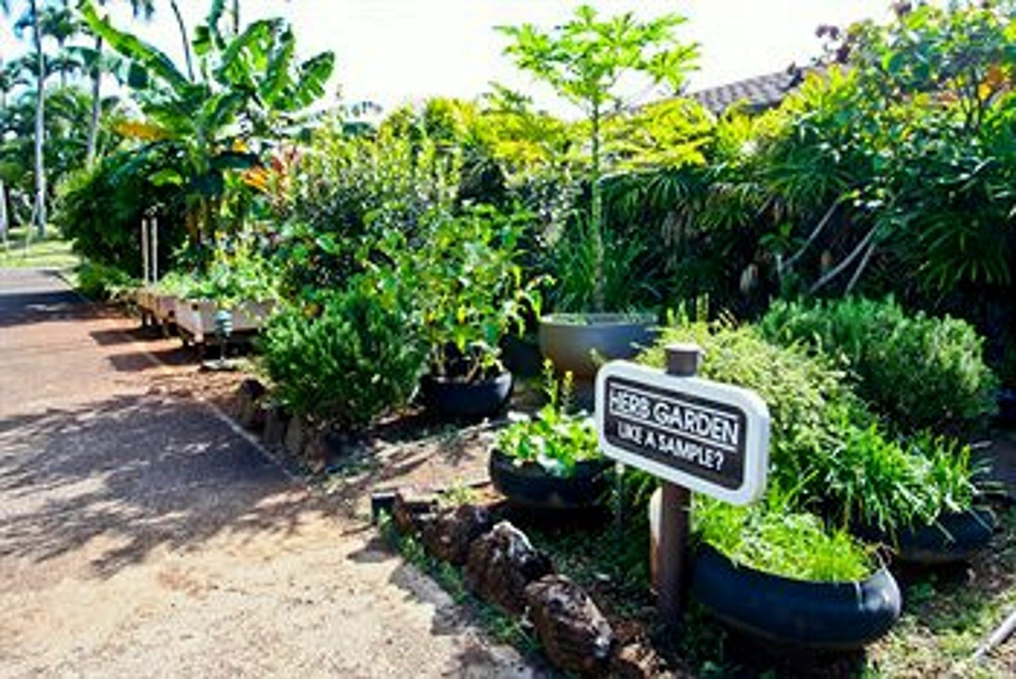 Crh - Pono Kai Resort Kauai Exterior photo